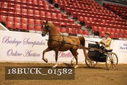 18BUCK_01582 proof