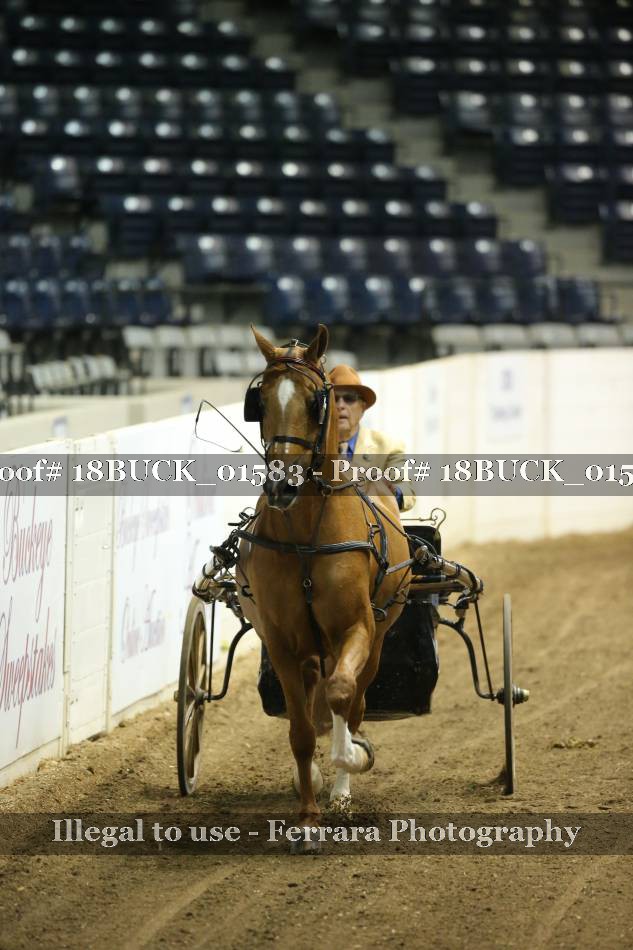 Proof 18BUCK_01583