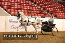 18BUCK_01584 proof