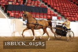 18BUCK_01585 proof