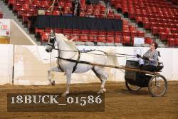 18BUCK_01586 proof