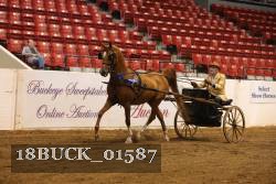 18BUCK_01587 proof