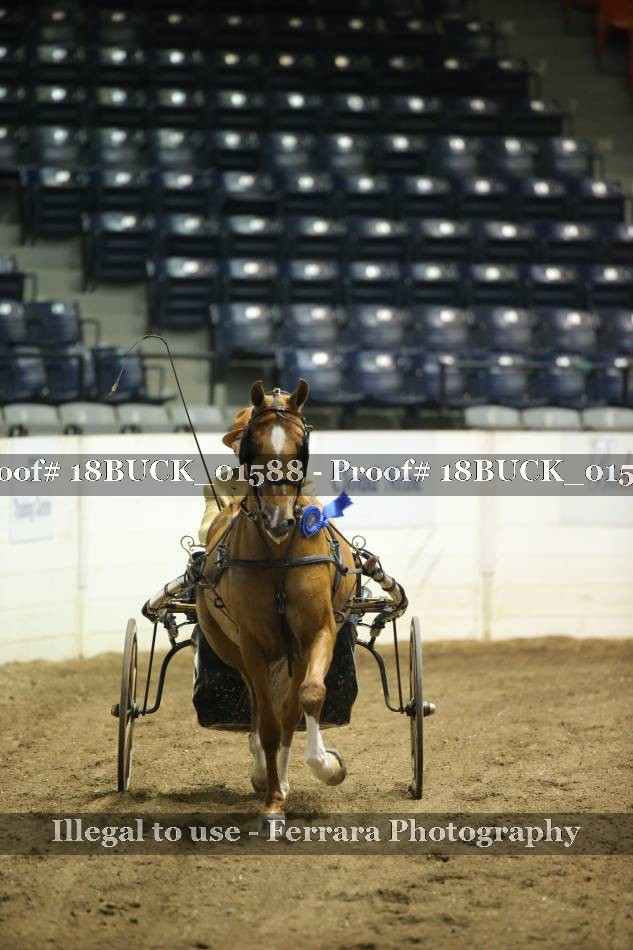 Proof 18BUCK_01588
