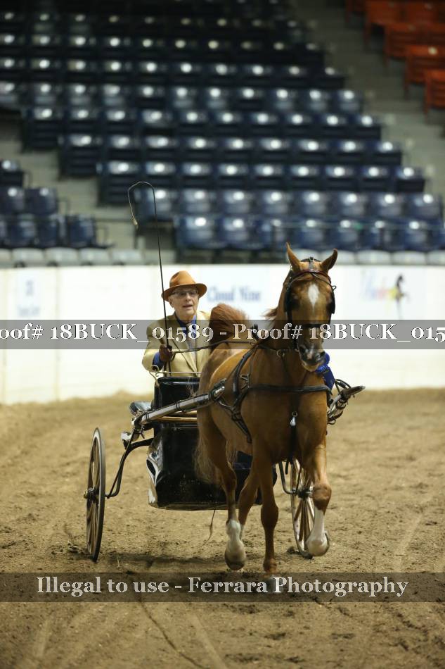 Proof 18BUCK_01589