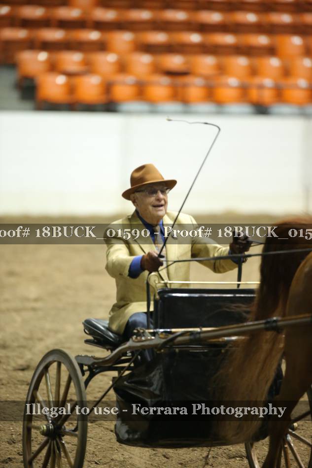 Proof 18BUCK_01590