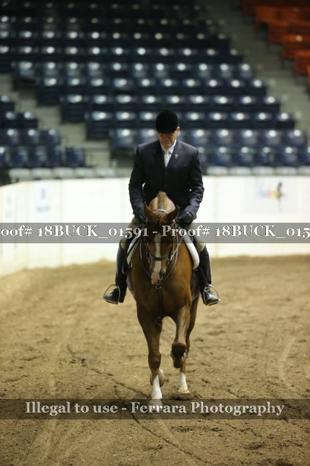 Proof 18BUCK_01591