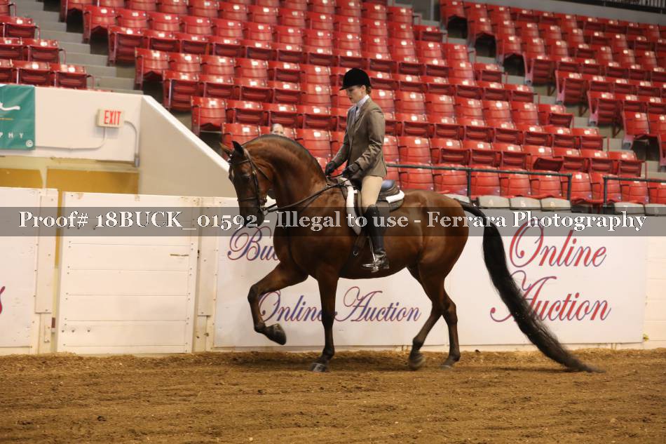 Proof 18BUCK_01592