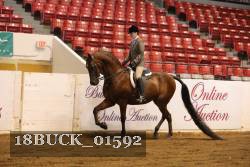 18BUCK_01592 proof