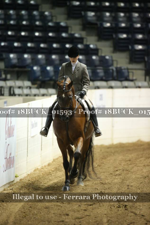 Proof 18BUCK_01593