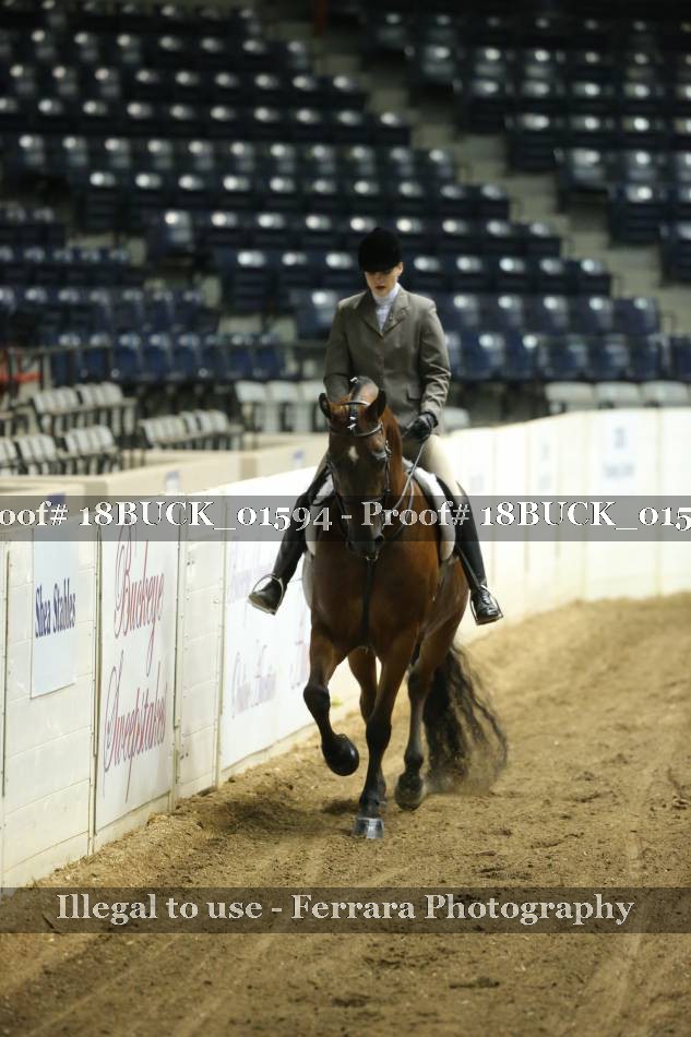 Proof 18BUCK_01594
