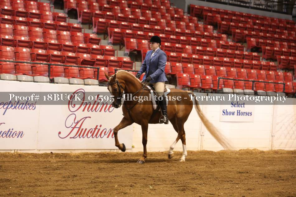 Proof 18BUCK_01595