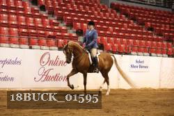 18BUCK_01595 proof