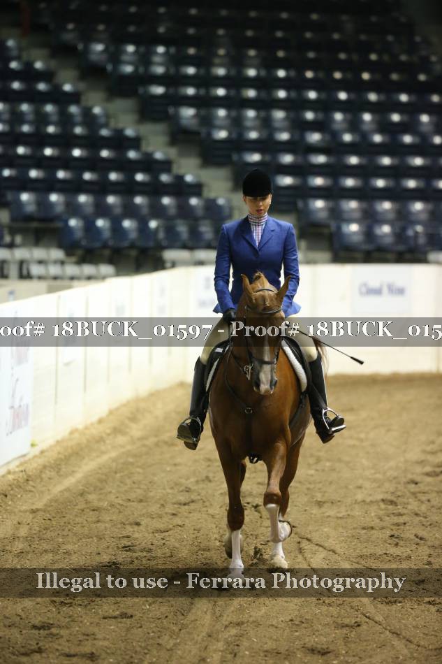Proof 18BUCK_01597