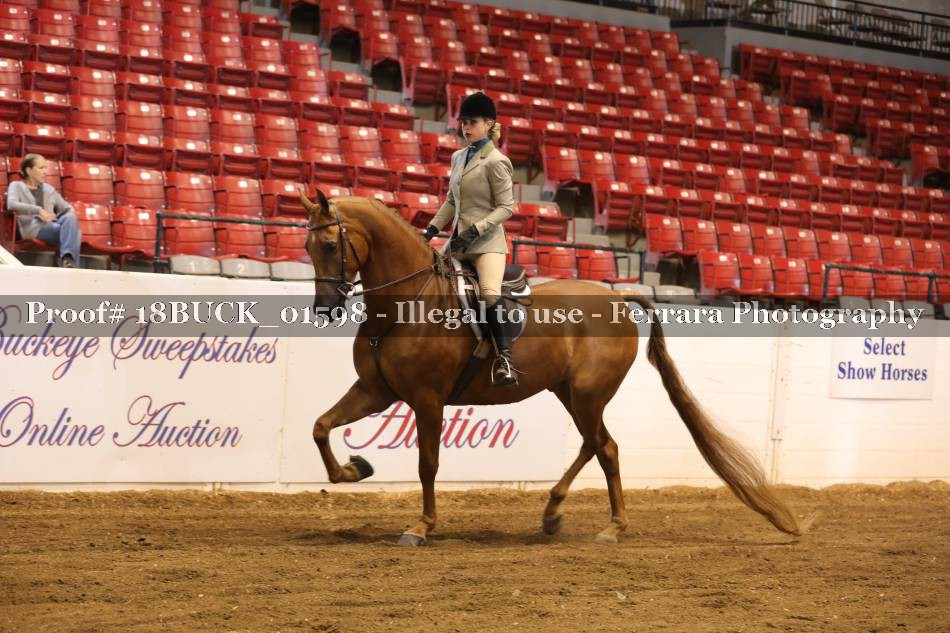 Proof 18BUCK_01598