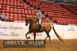 18BUCK_01598 proof