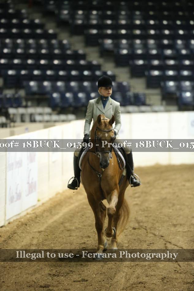 Proof 18BUCK_01599