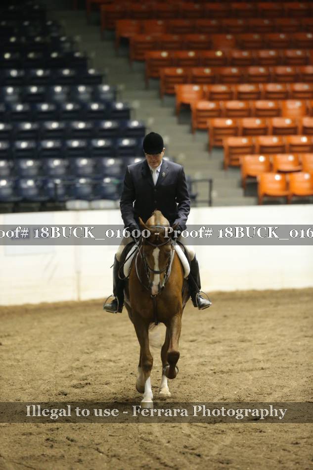 Proof 18BUCK_01600