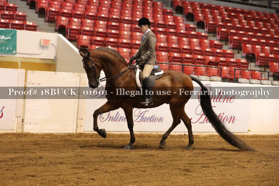 Proof 18BUCK_01601