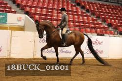 18BUCK_01601 proof