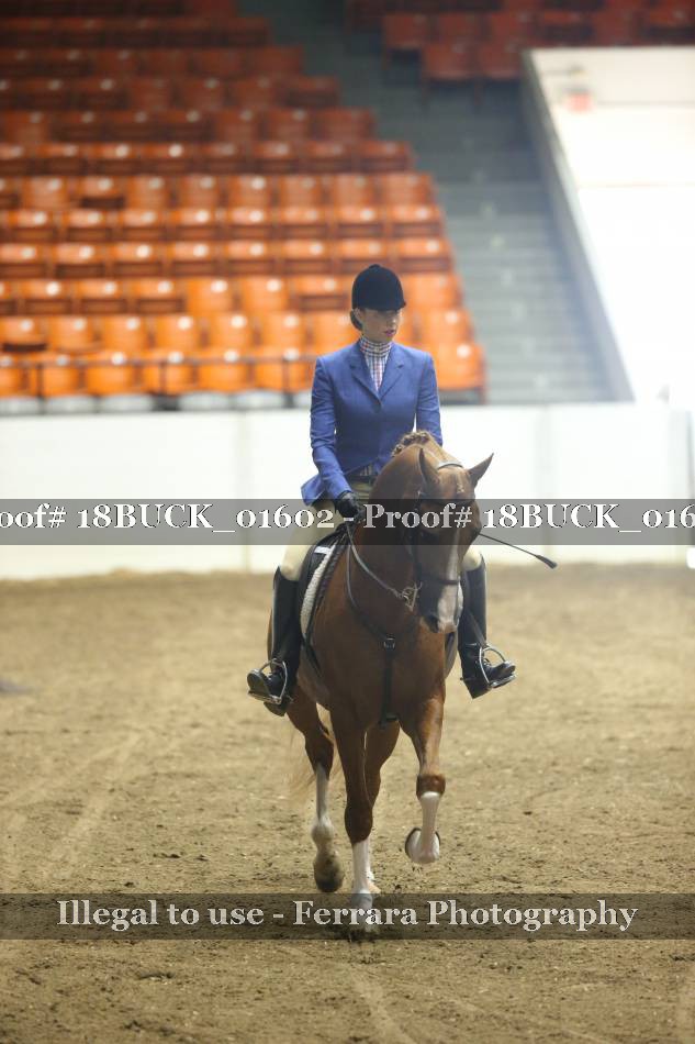 Proof 18BUCK_01602