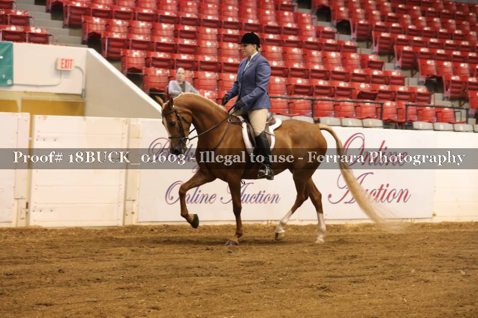 Proof 18BUCK_01603