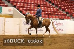18BUCK_01603 proof