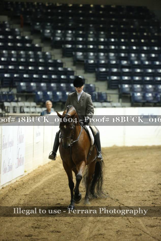 Proof 18BUCK_01604