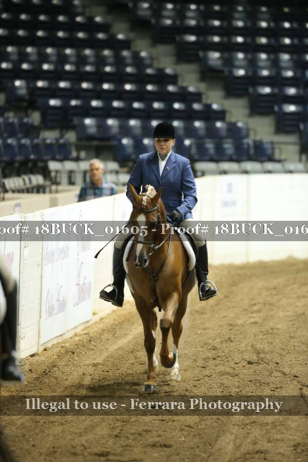 Proof 18BUCK_01605