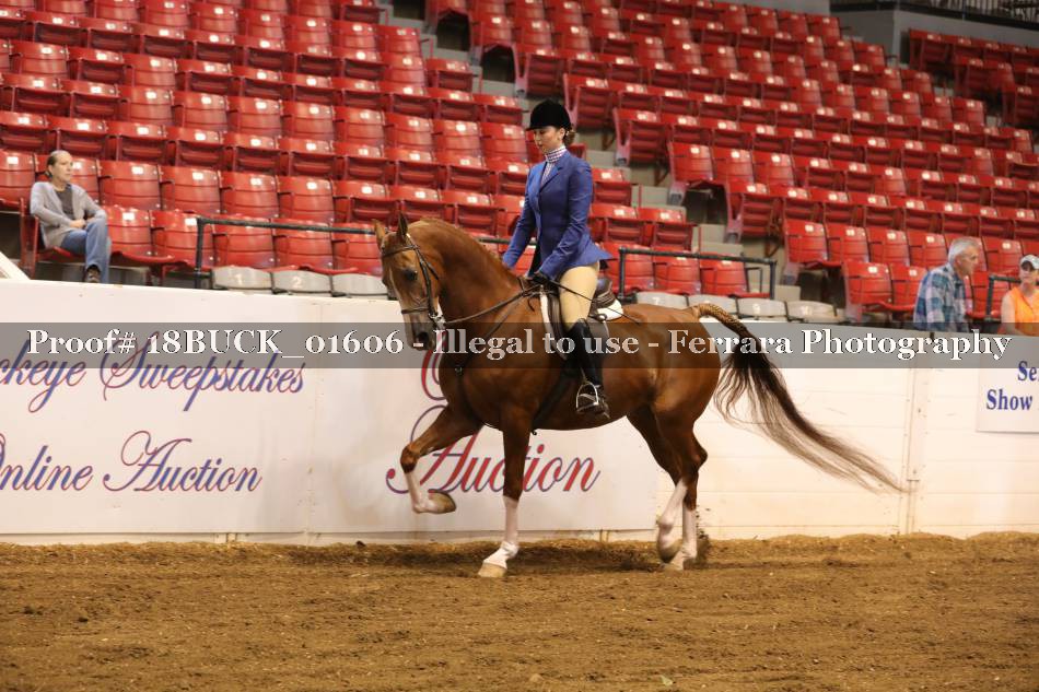 Proof 18BUCK_01606
