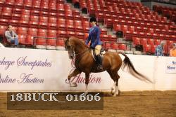 18BUCK_01606 proof