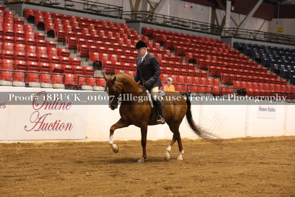 Proof 18BUCK_01607