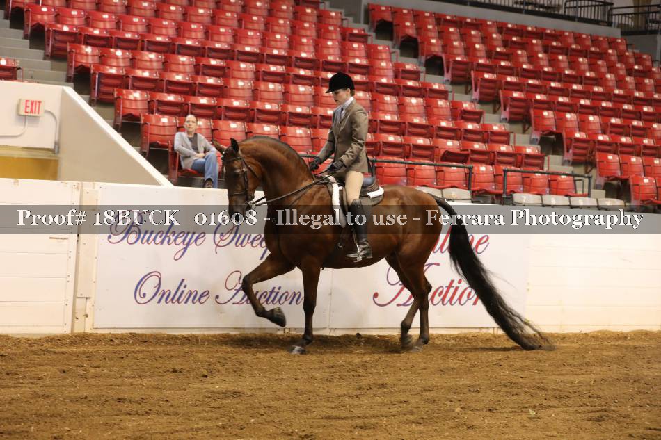 Proof 18BUCK_01608