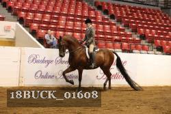 18BUCK_01608 proof