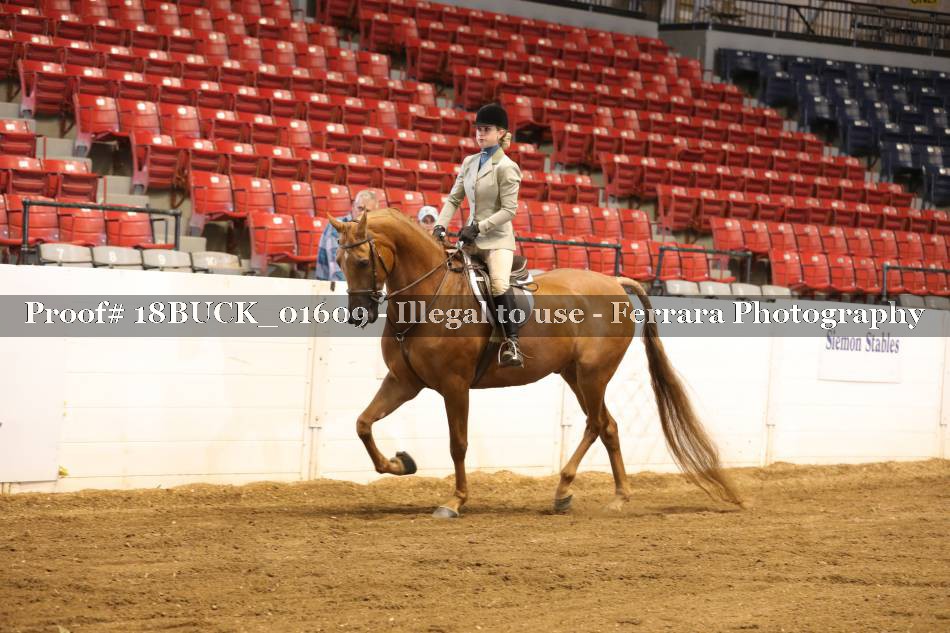 Proof 18BUCK_01609