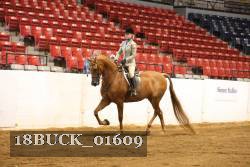 18BUCK_01609 proof