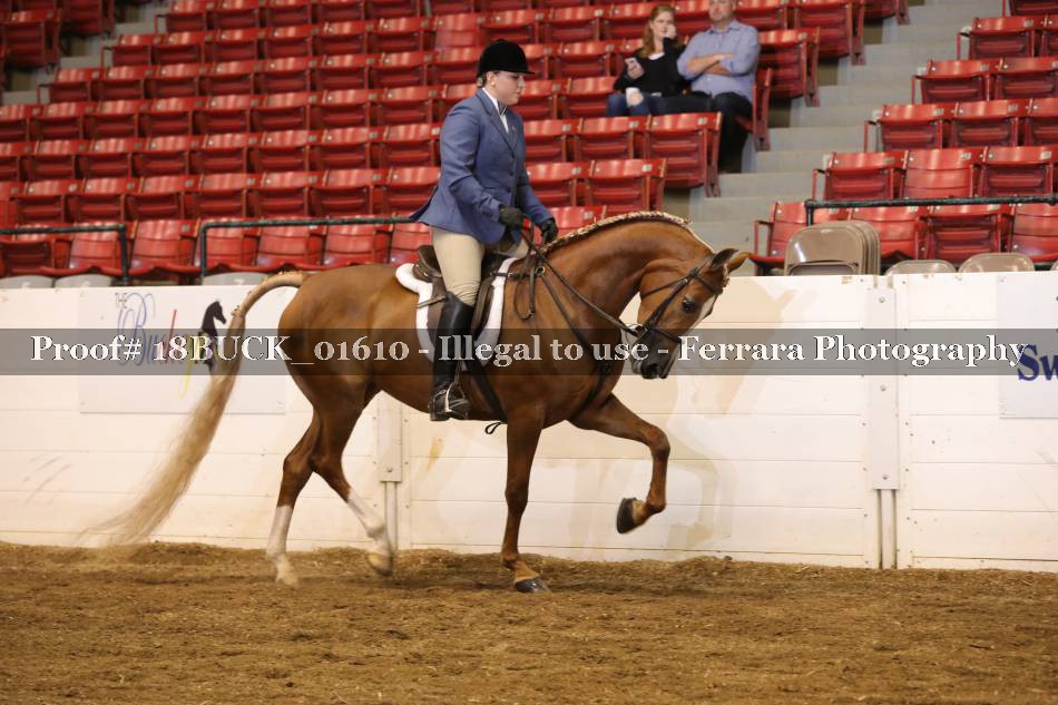 Proof 18BUCK_01610