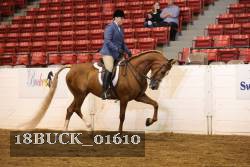 18BUCK_01610 proof
