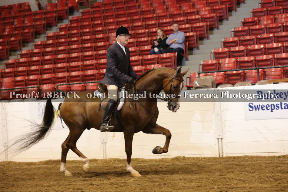 Proof 18BUCK_01611
