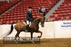 18BUCK_01611 proof