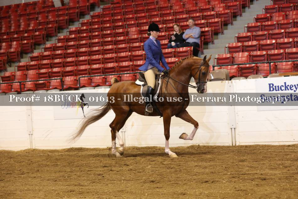 Proof 18BUCK_01613
