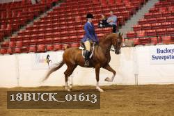 18BUCK_01613 proof