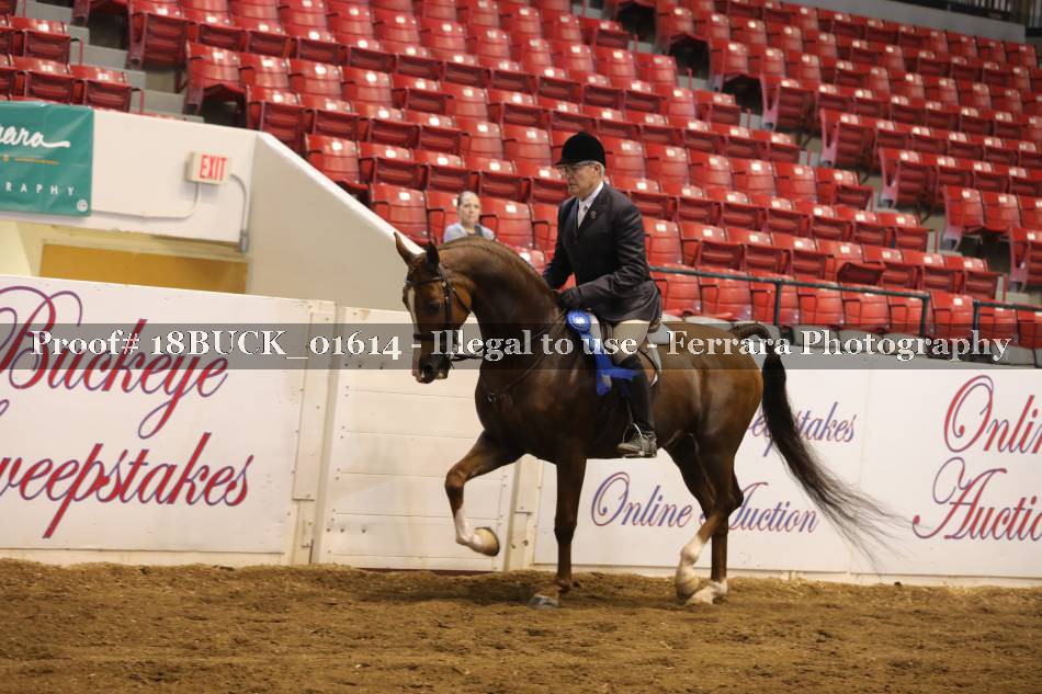 Proof 18BUCK_01614