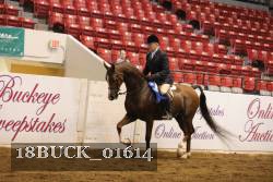 18BUCK_01614 proof