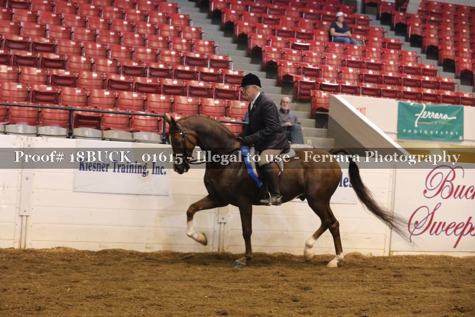 Proof 18BUCK_01615