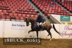 18BUCK_01615 proof
