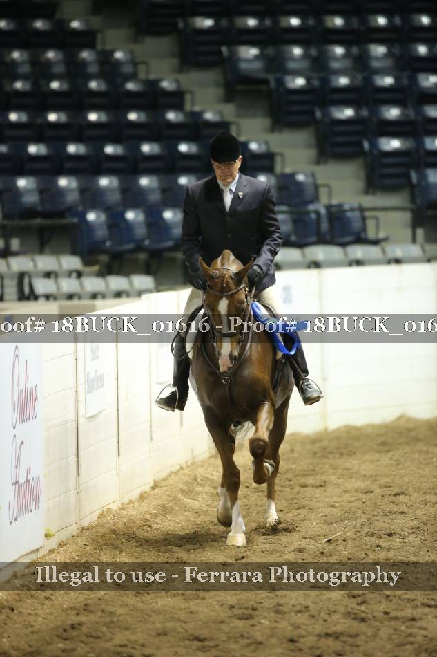 Proof 18BUCK_01616