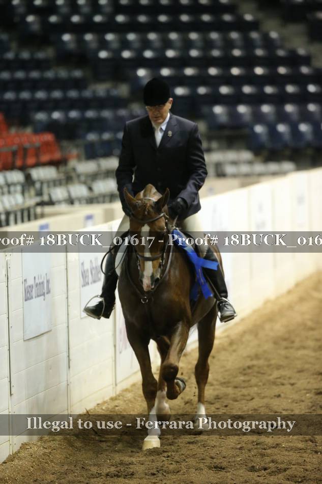 Proof 18BUCK_01617