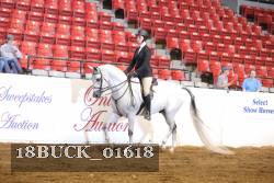 18BUCK_01618 proof