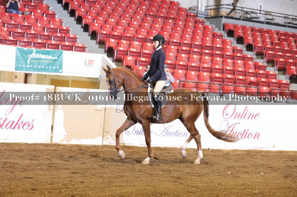 Proof 18BUCK_01619