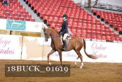 18BUCK_01619 proof